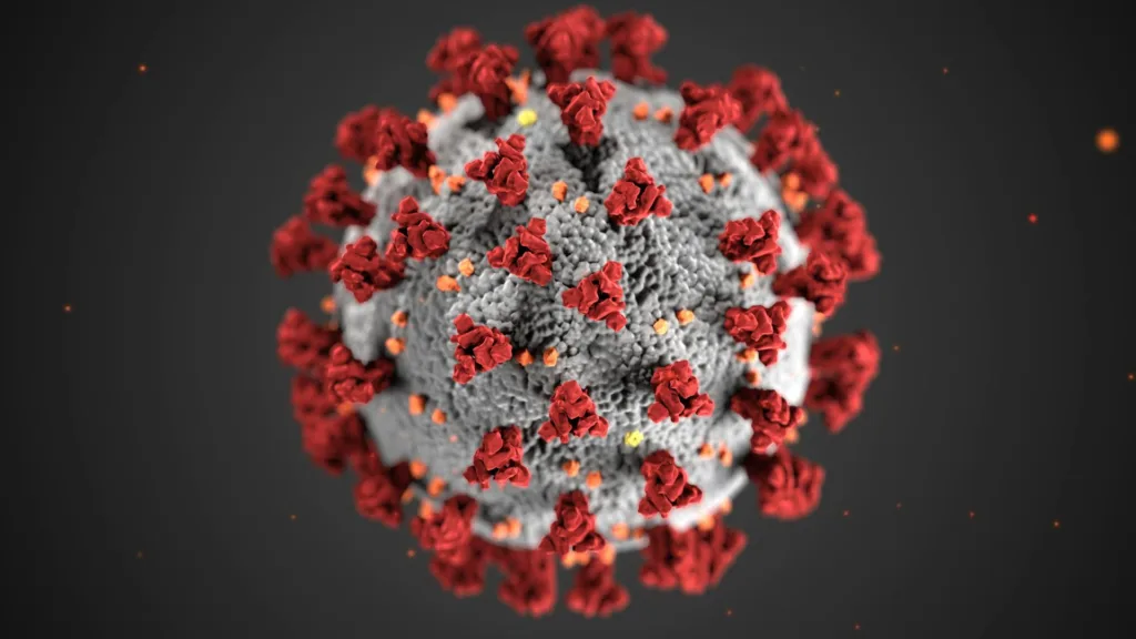 Norovirus