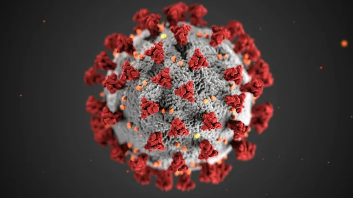 Norovirus