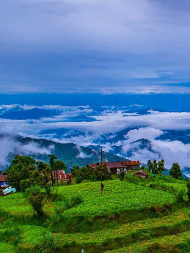 दार्जिलिंग: प्रकृति की गोद में बसा स्वर्ग