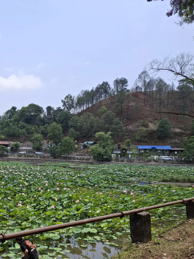 उत्तराखंड का एक पौराणिक पवित्र तालाब जहां के पत्तियों को तोड़ना भी है वर्जित।