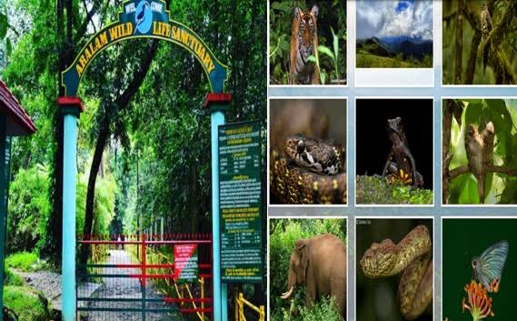 वन्यजीव अभ्यारण्य Wildlife Sanctuaries