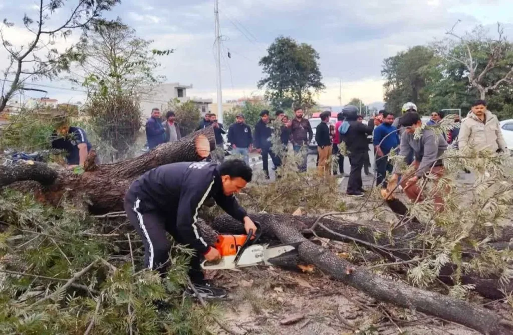 हरिद्वार: भगत सिंह चौक पर बड़ा हादसा, पेड़ गिरने से स्कूटी सवार बहन की मौत, दूसरी घायल