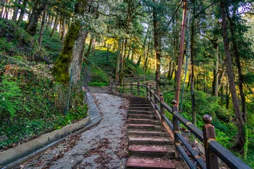 पैदल मार्ग