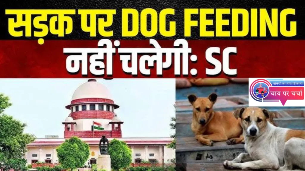 आवारा कुत्तों पर सुप्रीम कोर्ट ने लिया एक्शन, कहा- पकड़ने में जो भी अड़ंगा डाले होगी सख्त कार्यवाही