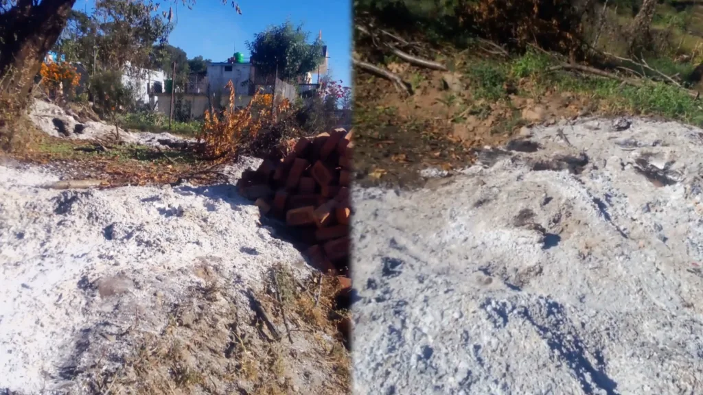 अराजकतत्वों पर लगाम जरूरी, वरना कानून से बड़ा हो जाएगा डर