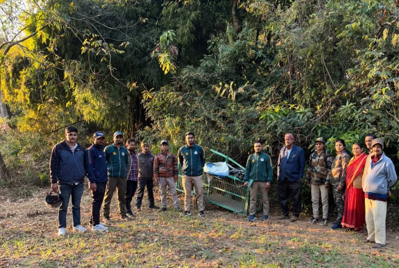 द्वाराहाट में गुलदार का आतंक, वन विभाग ने लगाए पिंजरे और कैमरे 1 द्वाराहाट में गुलदार का आतंक, वन विभाग ने लगाए पिंजरे और कैमरे