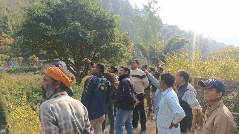 द्वाराहाट: घास लेने गई महिलाओं पर भालू का हमला, चीख-पुकार से दहला जंगल द्वाराहाट: घास लेने गई महिलाओं पर भालू का हमला, चीख-पुकार से दहला जंगल