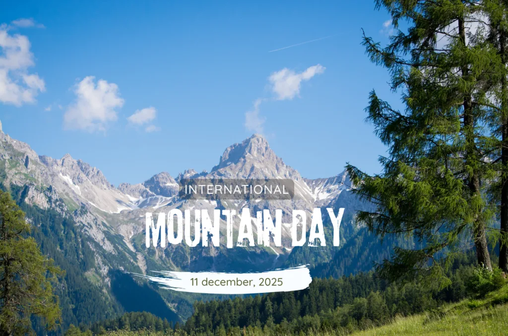 International Mountain Day: पहाड़ों की पुकार, सिर्फ़ सुकून नहीं, हमारी सांसें हैं ये वादियां International Mountain Day